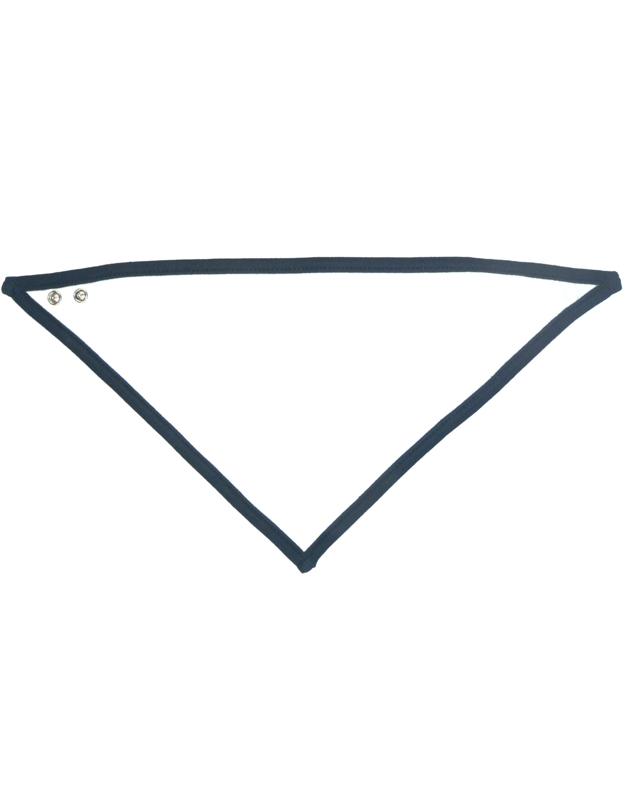 Babybugz Bandana Bib
